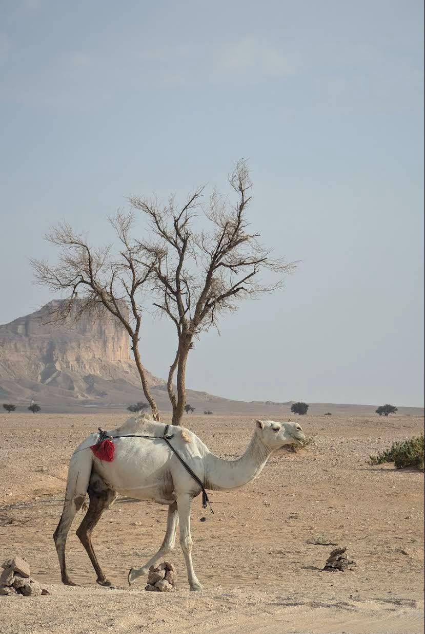 Hiking Khashm Al Husan Image 4